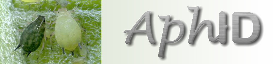 AphID banner